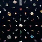 Buddhist gems returned to India after 127 years