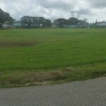 MP promises more police patrols for Skinner Park and environs after shooting