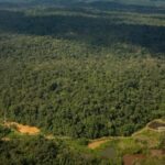 Suriname certified malaria-free by WHO