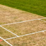 TTCB satisfied with CWI's selection of venues for international, regional matches