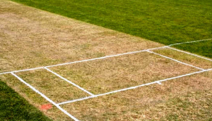 Cricket Pitch