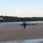 Body recovered at Columbus Bay, search continues for another man missing at sea in Mayaro