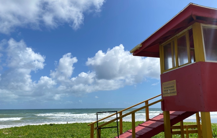 Lifeguard Tower Mayaro