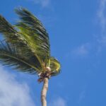 Yellow Level High Wind Alert Issued for Trinidad and Tobago