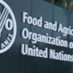 FAO fights for women's rights in the Caribbean
