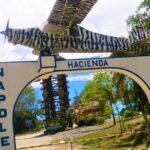 Part of Pablo Escobar's estate given to conflict victims