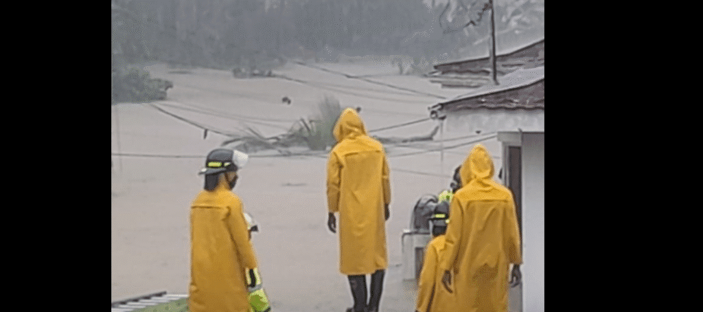 Screenshot 2025 10 29 113232