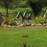 T&T Aggregate Producers to protest outside National Quarries