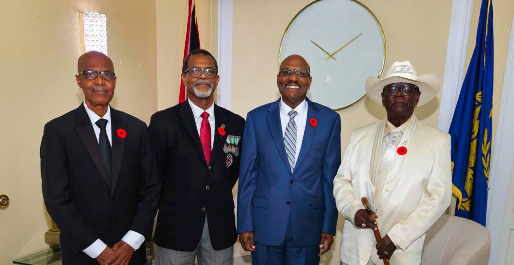 Remembrance Day poppies