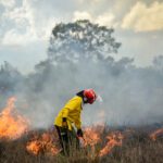 Regional Leaders Unite to Tackle Wildfires through Integrated Fire Management