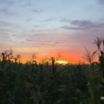 UN Report: Buying From Small Farmers Can Strengthen Food Security in Latin America and the Caribbean