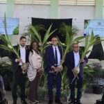 Ministry of Agriculture distributes Brazilian Green Dwarf coconut seedlings