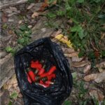 Firearms and Narcotics Seized in Police Anti-Crime Exercises Across Trinidad and Tobago