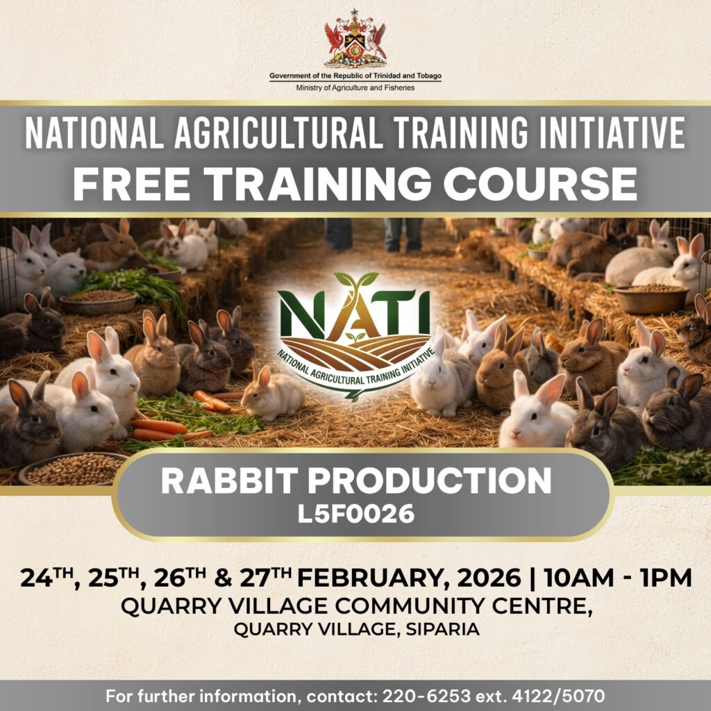 639146199 1520214763439105 8710354054591940399 n