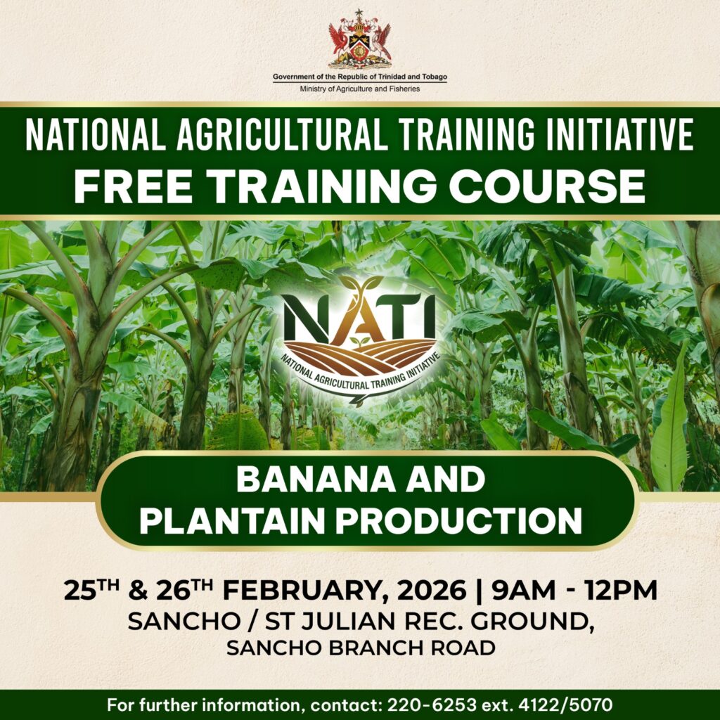 640890721 1520214690105779 1033312054474990288 n