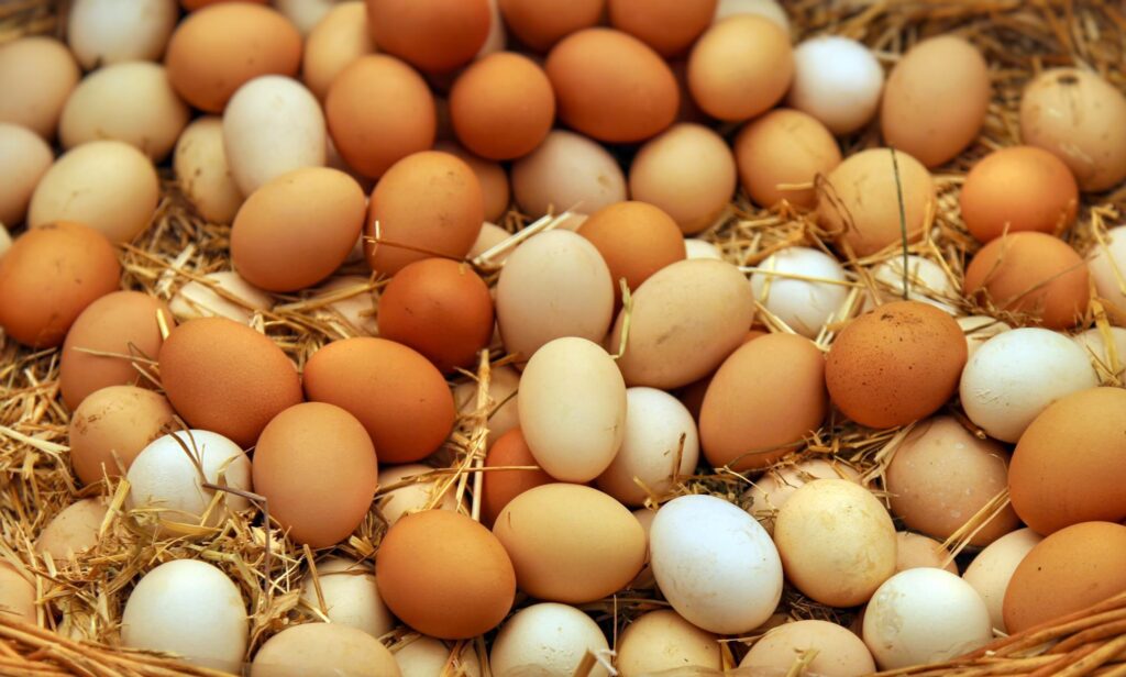 Eggs