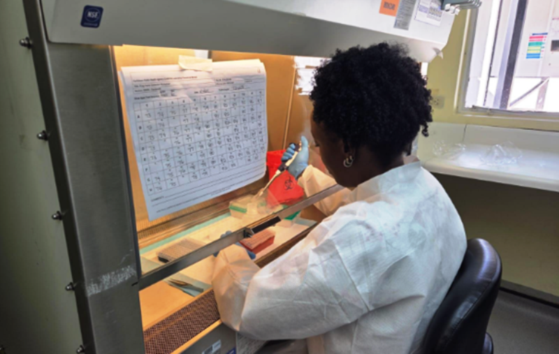 Molecular testing on Insecticide Resisitant Mosquitoes