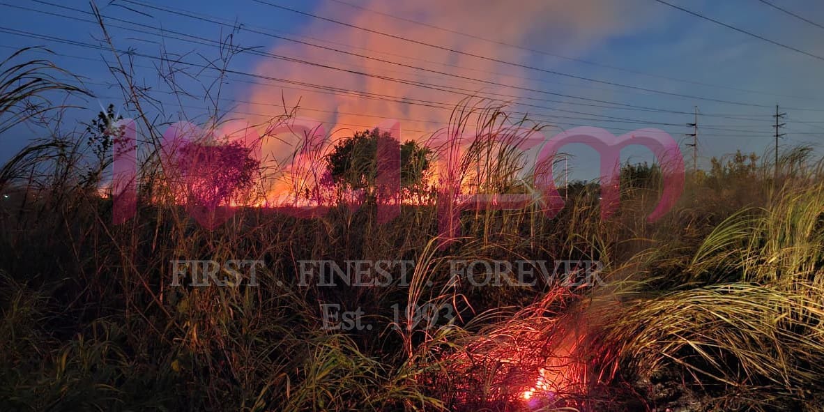 Bushfire 2