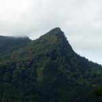 TTPS Coastal Unit rescues lost hiker in Northern Range