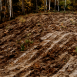 T&T to receive US$3.5 million to mitigate land degradation