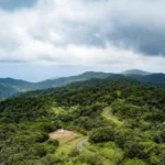 Tobago’s Main Ridge Forest Turns 250, Celebrated as Oldest Protected Forest in Western Hemisphere