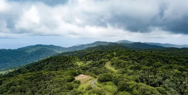 Main Ridge Forest Reserve