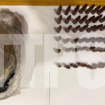 Guns found under bridge