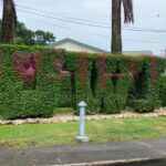 UWI receives funding to advance green hydrogen research