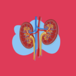 CARPHA calls for early testing, healthier lifestyles to address chronic kidney disease