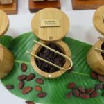 Ministry targets expansion and export growth for cocoa sector