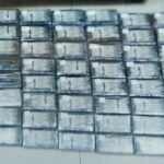 Freeport Drug Bust Nets $3.1M in Cocaine