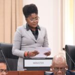 Culture Minister Assures Outstanding Flava Village Payments Will Be Settled