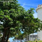 Galera Point Lighthouse Facility closed pending restoration