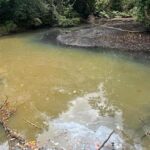 Tobago People’s Party Calls for Urgent Action to Safeguard Water Supply as Dry Season Strains System