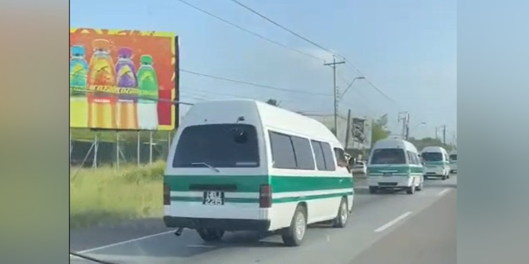 Green band maxi