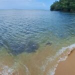 Macqueripe Beach closed tomorrow for underwater survey