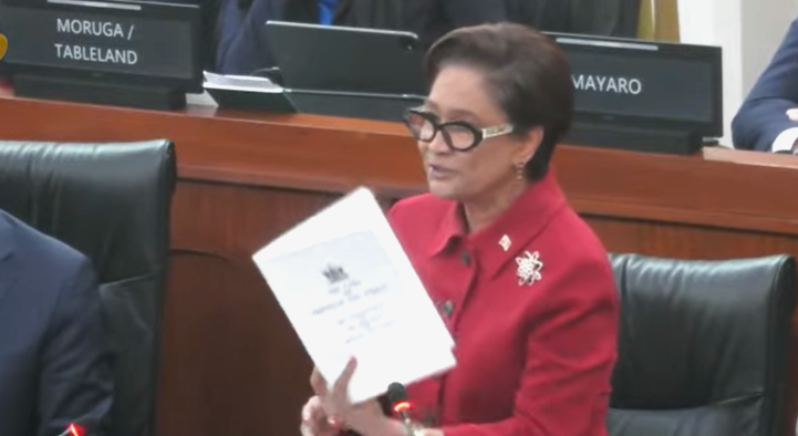 PM Constitution 11 06 26
