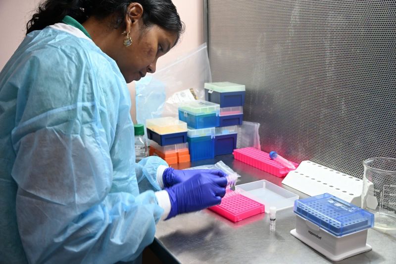 Bird Flu simulation