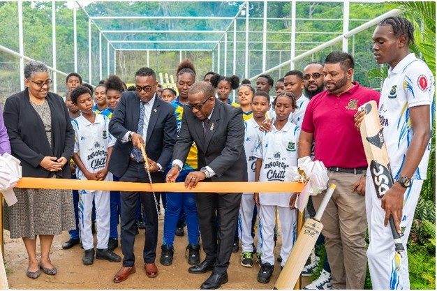 Blanchissuese cricket nets