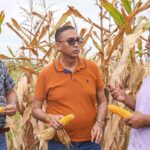 Agriculture Ministry reports successful corn harvest
