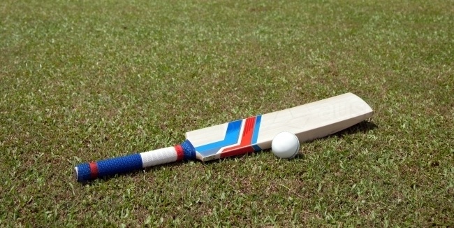 Cricket Bat