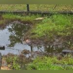 Heritage boosts security after suspected pipeline sabotage