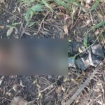 Decomposing body found in Mon Repos