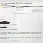 Opposition questions alleged dismissal of T&TEC execs