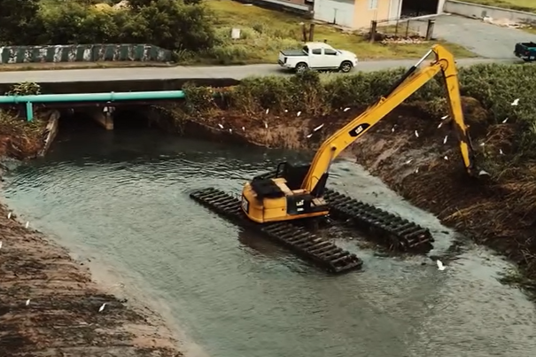 woodland desilting