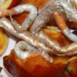 Cigarettes, other contraband found hidden in apples