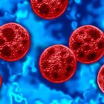 2 deaths linked to US cyclospora outbreak