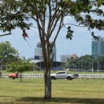 New space confirmed for Independence Day Parade