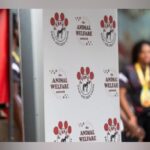 Animal welfare groups call for stronger Govt response to cruelty