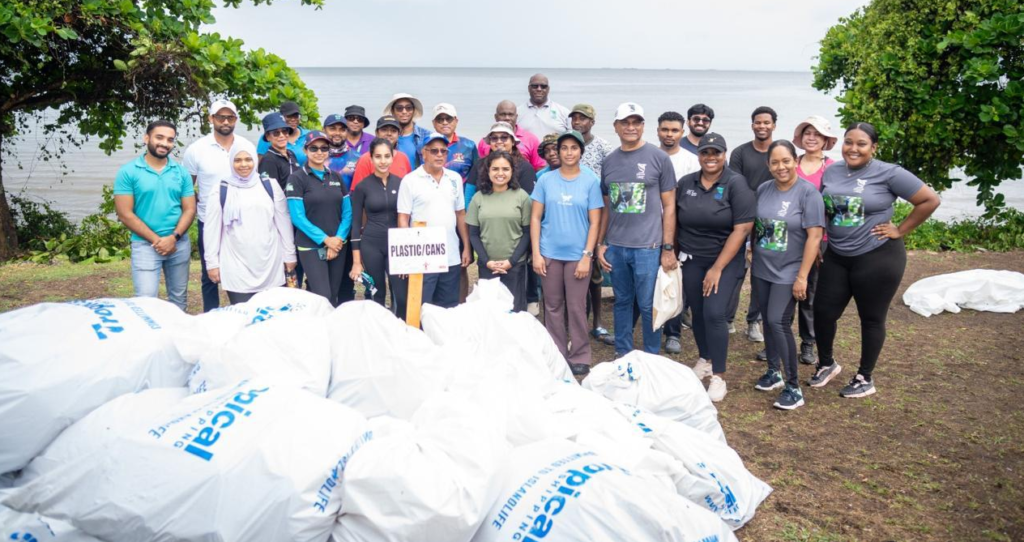 ICC Cleanup 2026
